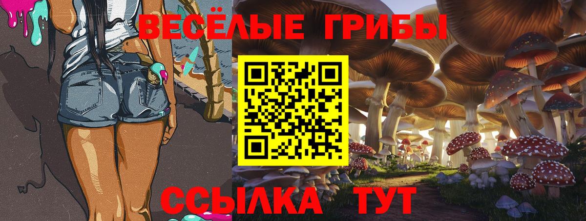 Псилоцибиновые грибы Magic Shrooms Ковров