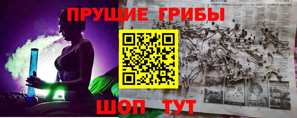 Ковров  Галлюциногенные грибы Psilocybine cubensis  магазин    Вход с VPN 